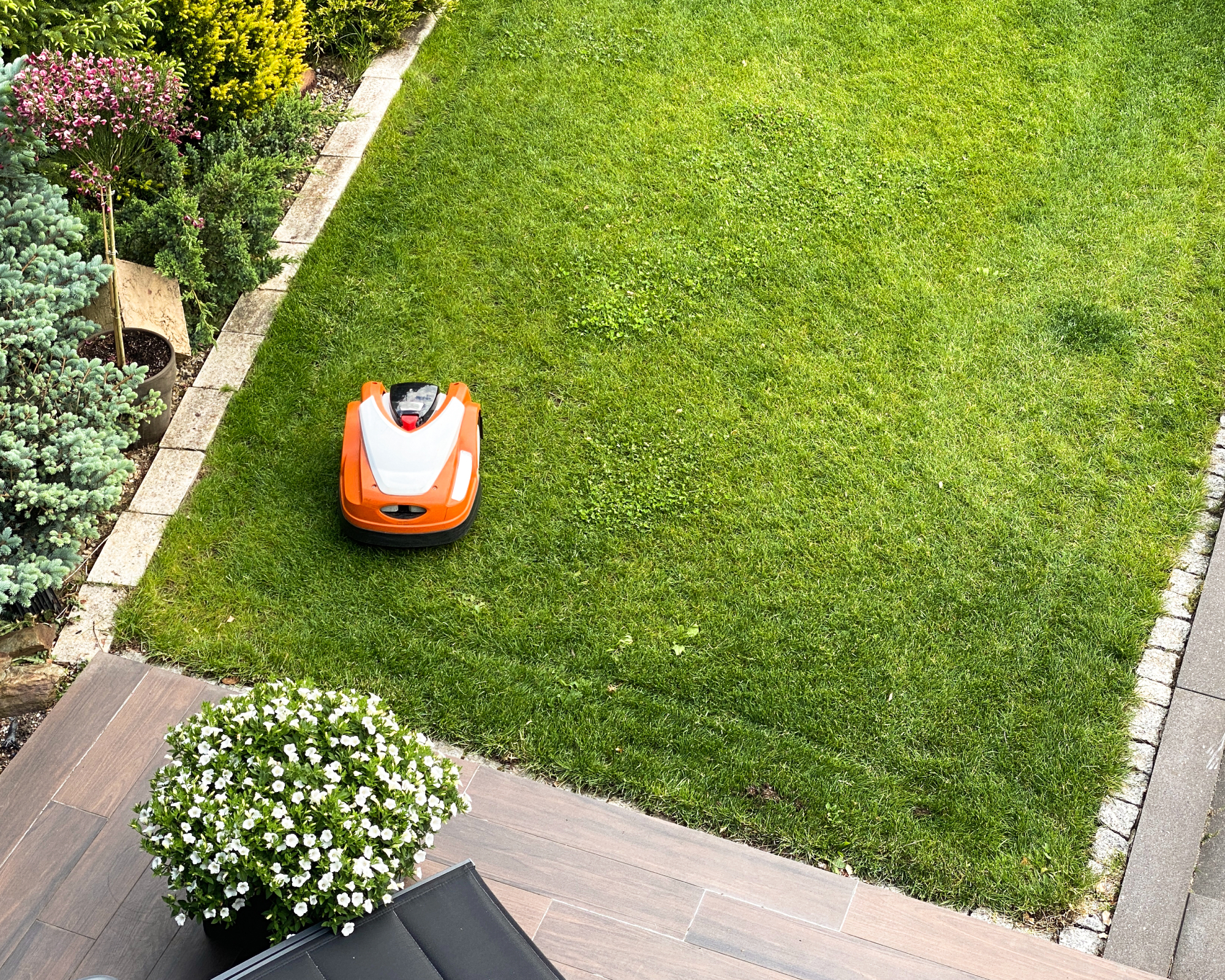 Robot mower cutting grass in small yard