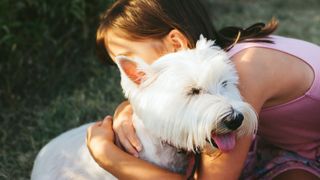 west highland white terrier being cuddled by a young girl