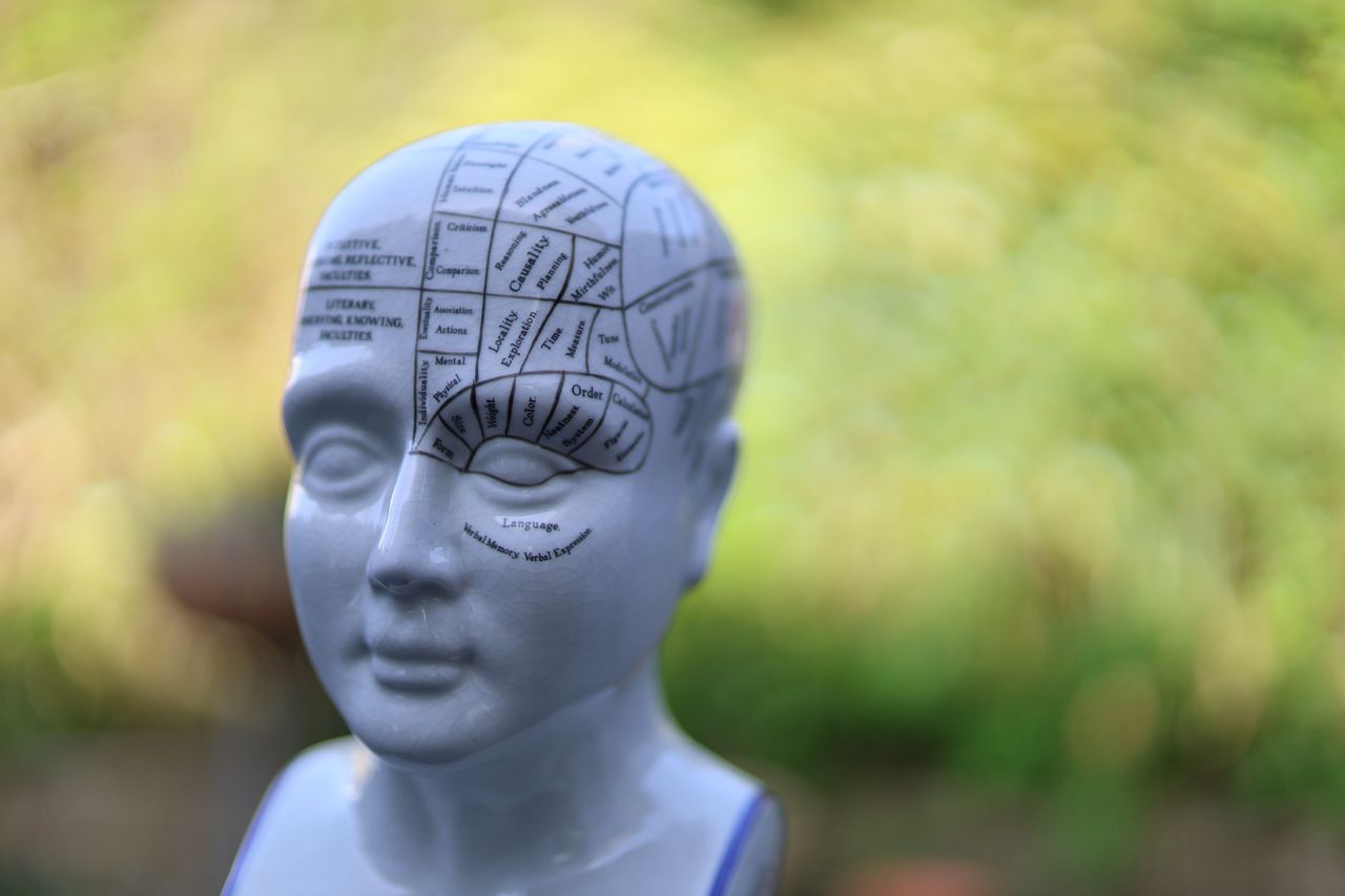 Canon RF 45mm f/1.2 STM sample shot