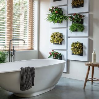 indoor plant ideas: bathroom decorated with living wall planters from Botanical Boys