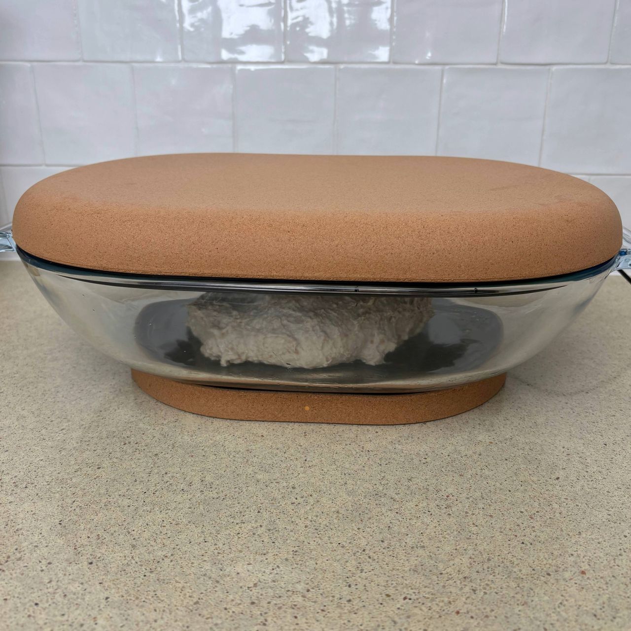 Testing the SourHouse DoughBed Sourdough Keeper