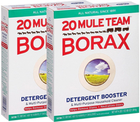 20 Mule Team Borax detergent booster (pack of 2) l Available for $14 on Amazon