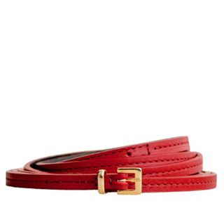 Sezane Aneomone Belt