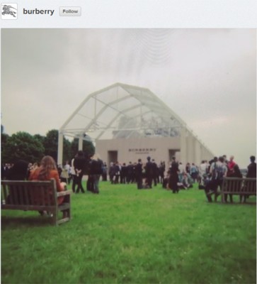bestinstavid1-burberry