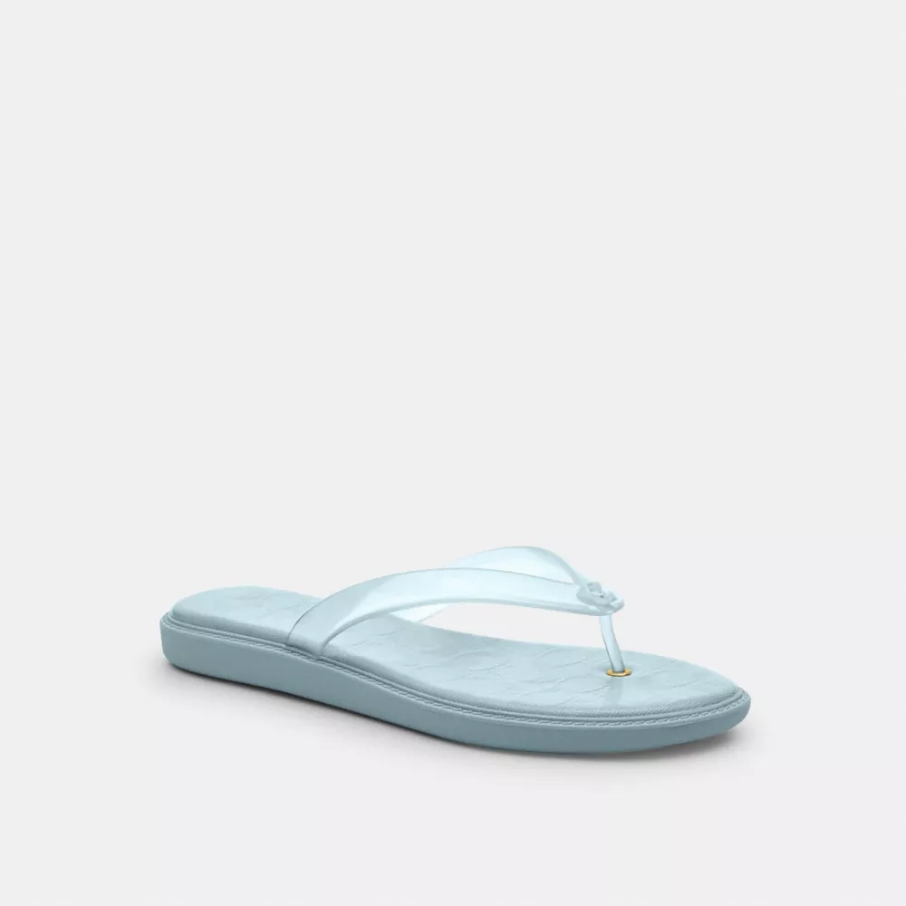 Jelly Flip Flop in Signature
