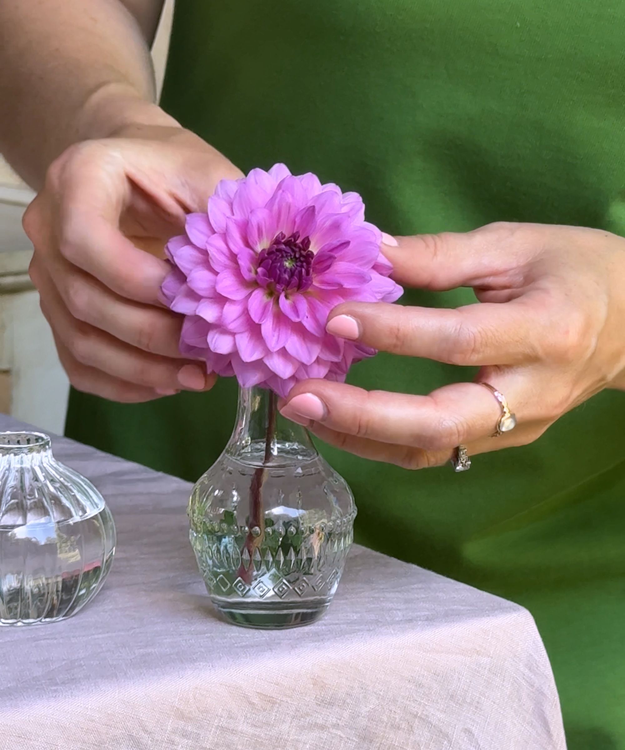Pink dahlia stem being placed in a bud vase