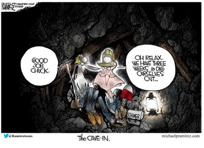 Political cartoon U.S. Chuck Schumer Democrats immigration deal government shutdown