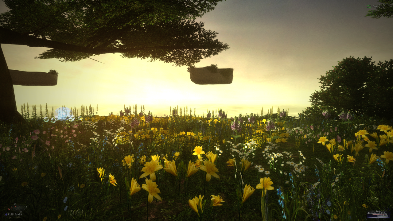 Final Fantasy 11 using Amelila's FFXI HD Overhaul mod.
