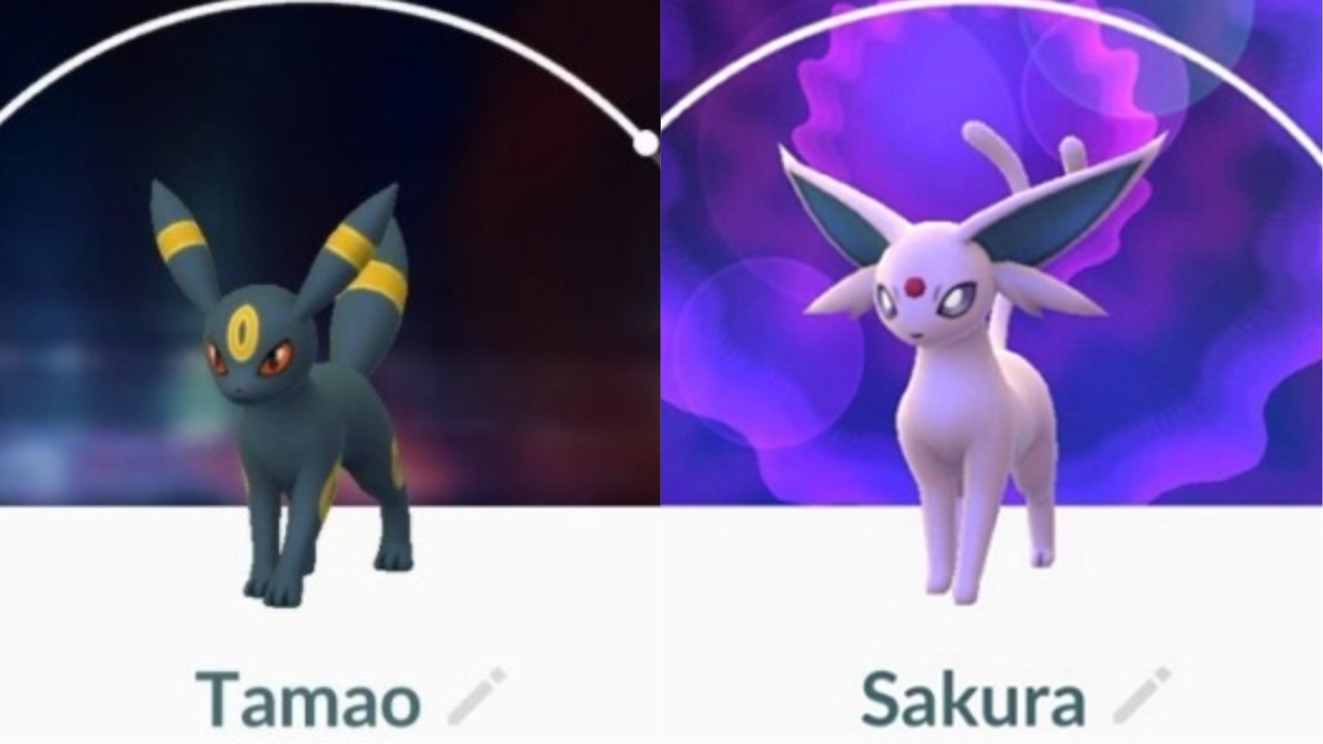 Pokémon Go Eevee berevolusi Tamao dan Sakura