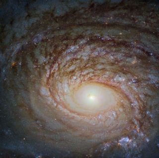 The spiral galaxy NGC 772, seen here in a new image from the Hubble Space Telescope, bears some striking similarities to the Milky Way galaxy that we call home, with its spiral arms, glowing core and dark dust lanes. But there are some key differences between NGC 772 and the Milky Way. For one, NGC 772 lacks the kind of bar-shaped structure of stars like the one that stretches across the center of the Milky Way. NGC 772 is classified as a peculiar, unbarred spiral galaxy, which means that it is "somewhat odd in size, shape or composition," according to NASA. Located about 130 million light-years away from Earth in the constellation Aries, NGC 772 is about twice the size of the Milky Way.