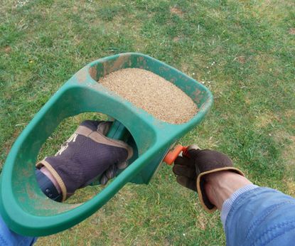 5 Horticulturists Tell All: Best Fertilizers for Fall | Gardening Know How