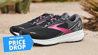 a photo of the Brooks Ghost 14 running shoe 