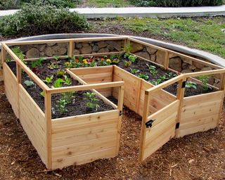 A raised garden bed kit made from cedar wood