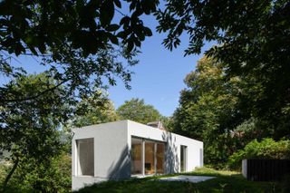 A modern, white house, with floor-to-ceiling windows, sits in the middle of a forest.
