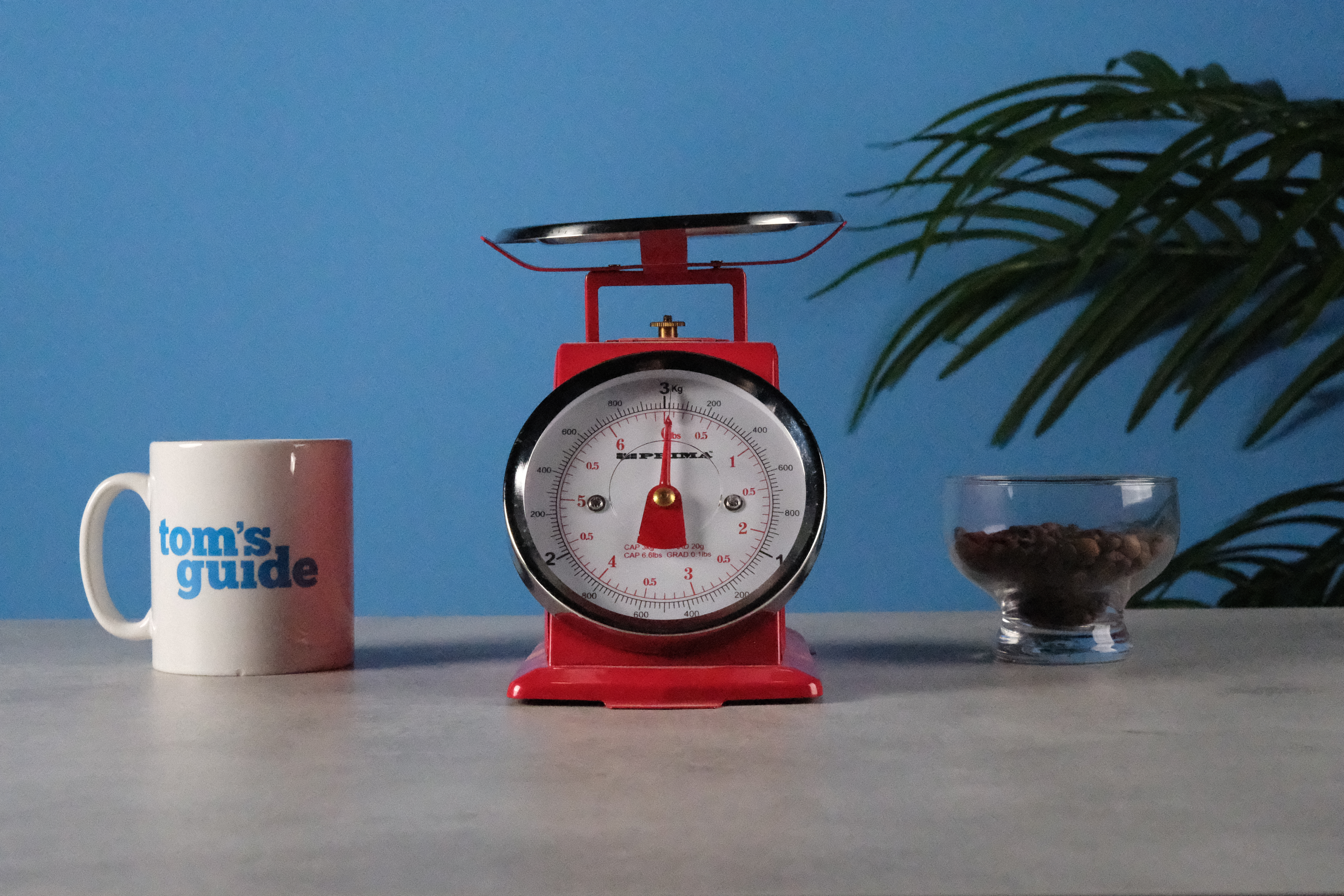 An image of a set of red scales taken on the Fujifilm X-T30 III