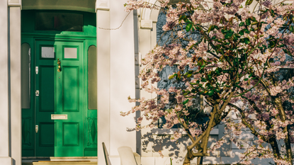 Emerald front door