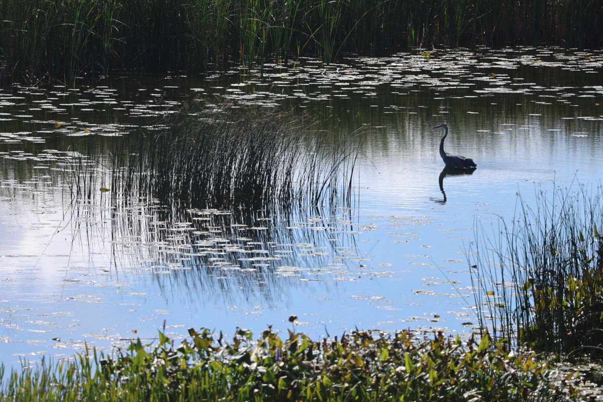 A sample image taken with the Canon EOS R8 Mark II and the RF 100-400mm f/5.6-8 IS USM