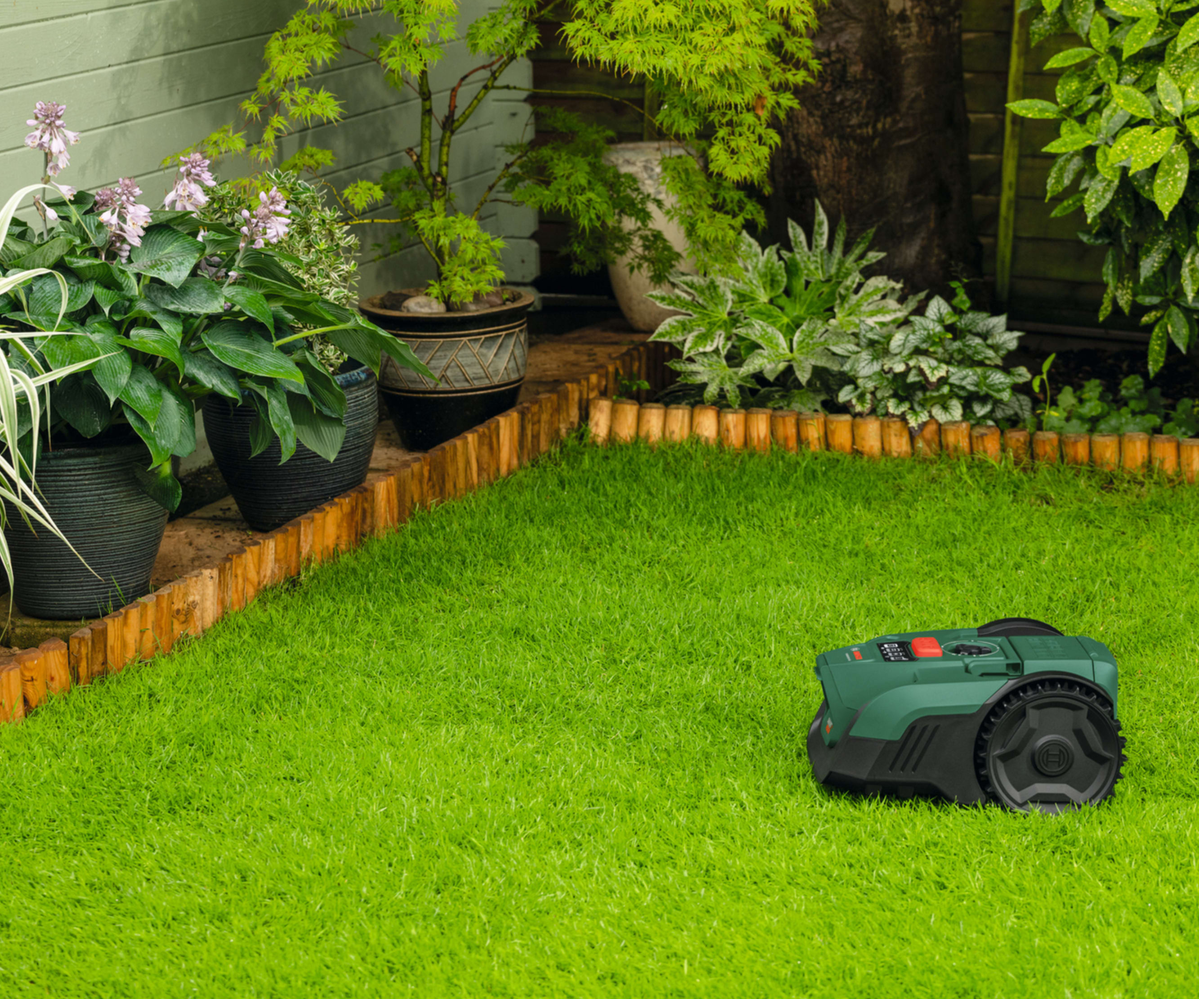 Robot lawn mower on grass with potted plants and other plants in a border