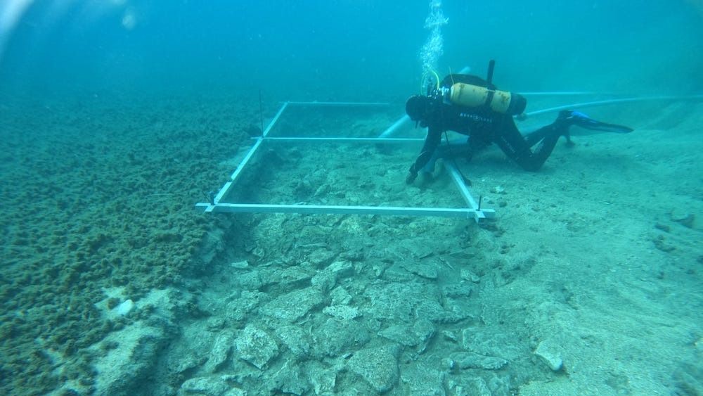 A diver explores an underwater roadway that had been buried by mud for thousands of years. 