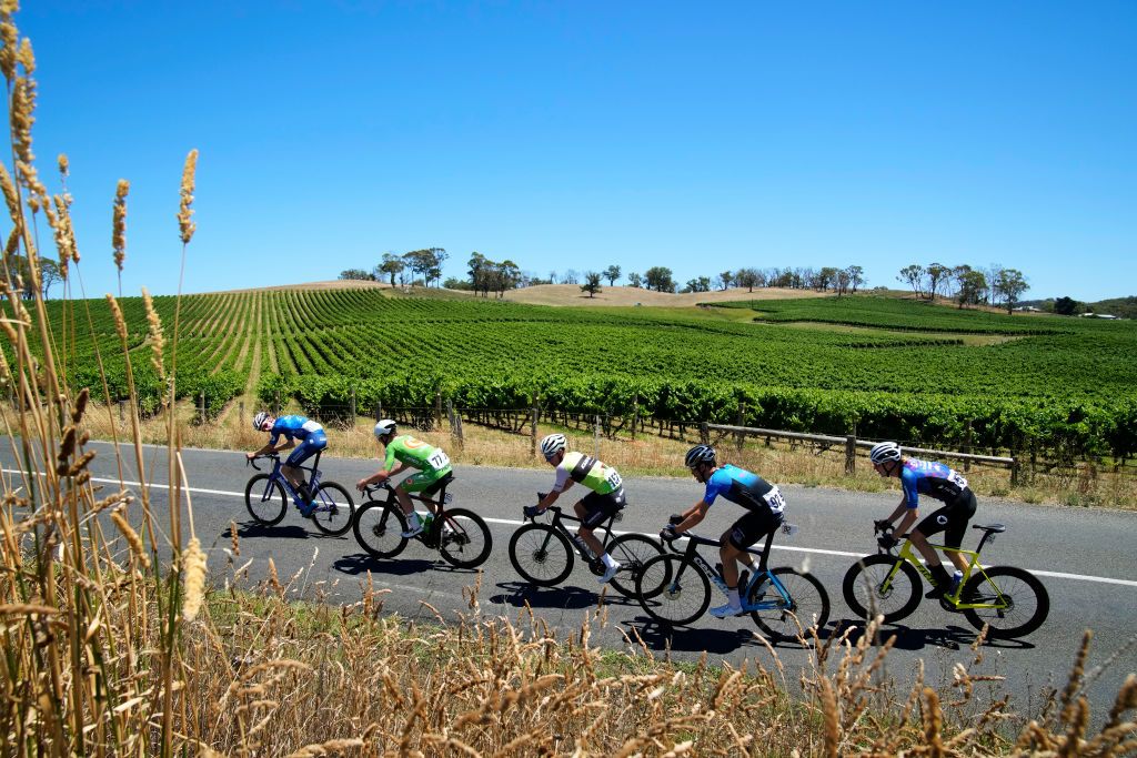 LOBETHAL AUSTRALIA JANUARY 27 LR Jason Thomason of Australia and Team Butterfields PB Van Dam Racing Edwin Britts of Australia and Team Olivers Racing Jesse Norton of Australia and Giant Racing Team Steven Robb of Australia and Team Cycle House Racing and Oli Stenning of Australia and Team Ara Pro Racing Sunshine Coast compete in the breakaway during the 2nd Santos Festival Of Cycling 2022 Mens Elite Stage 1 a 1142km stage from Stirling to Lobethal TourDownUnder on January 27 2022 in Lobethal Australia Photo by Daniel KaliszGetty Images