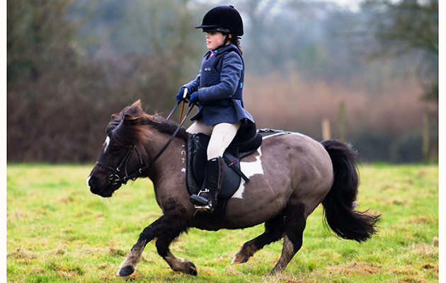 Blink and you’ll miss her: Vivien Fricker, five, with her pony Lluest Patchwork out with the SC&RMAS