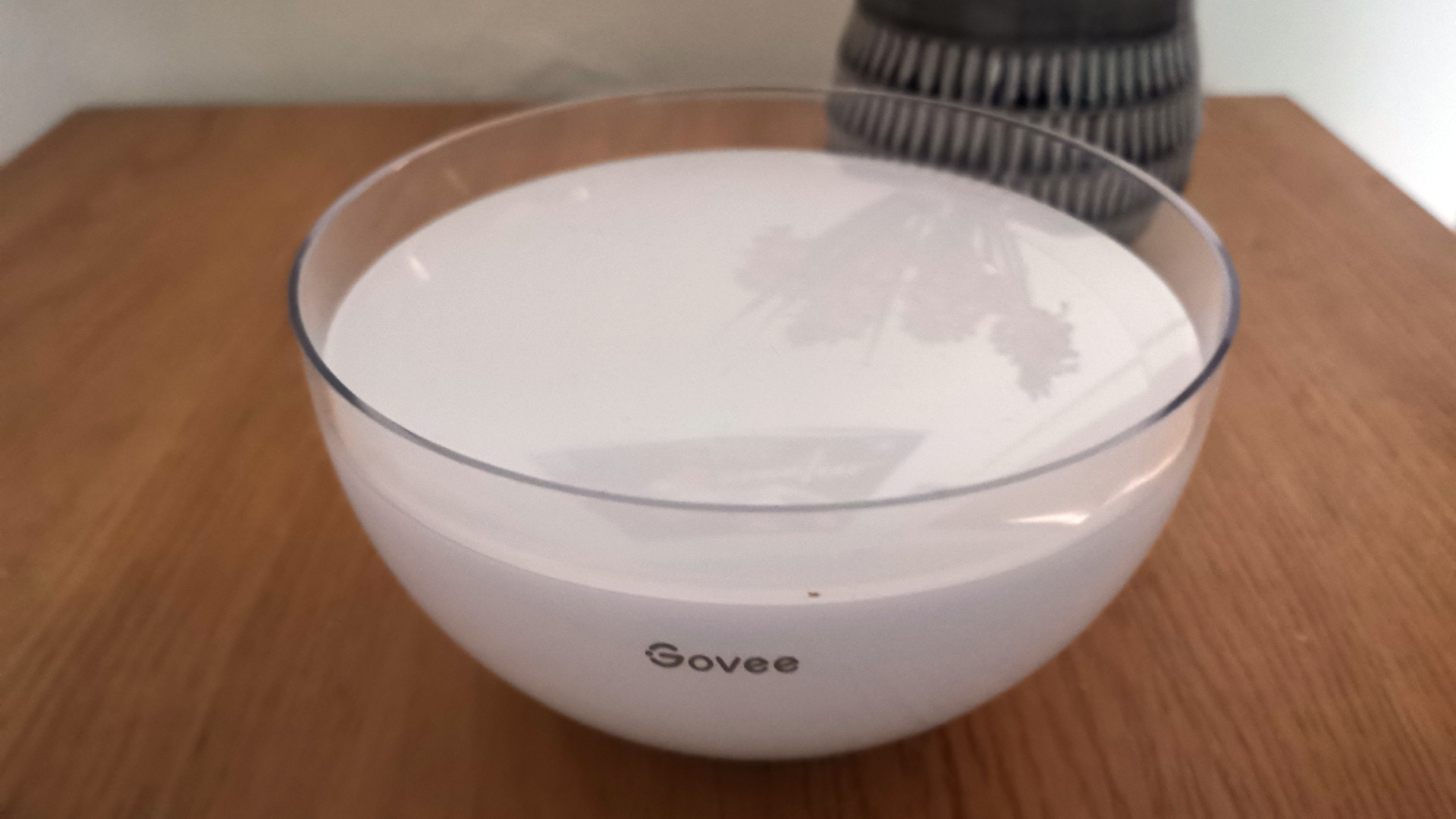 Govee StarPal Pro resting upright on a table