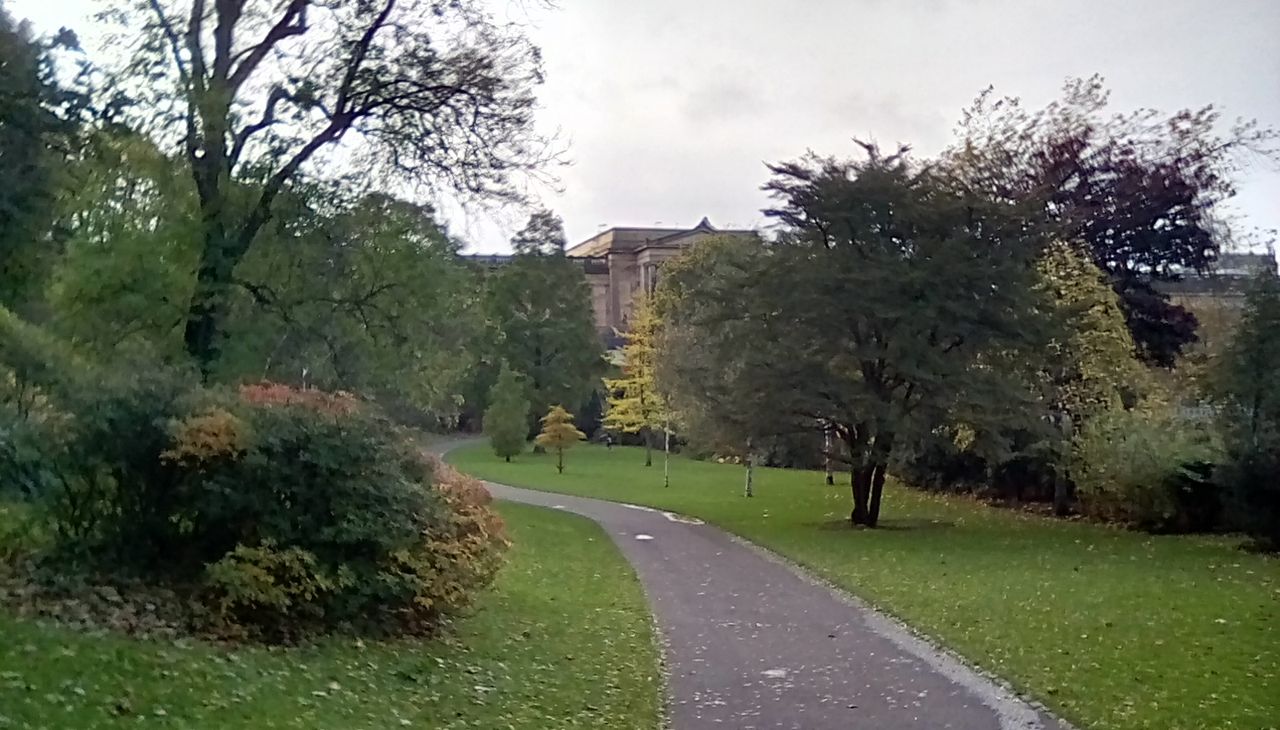 The slightest movement when taking an HDR shot results in everything looking blurred