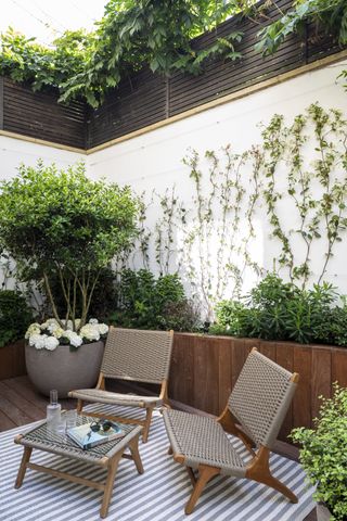 patio with decking, white walls, wood and rattan chair table set, outdoor rug, plants, climbers