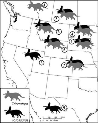 Torosaurus and Triceratops fossils have been found in all the same locations.