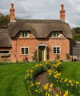 front yard cottage ideas hadleigh cottage portrait exterior thatched house with daffodils