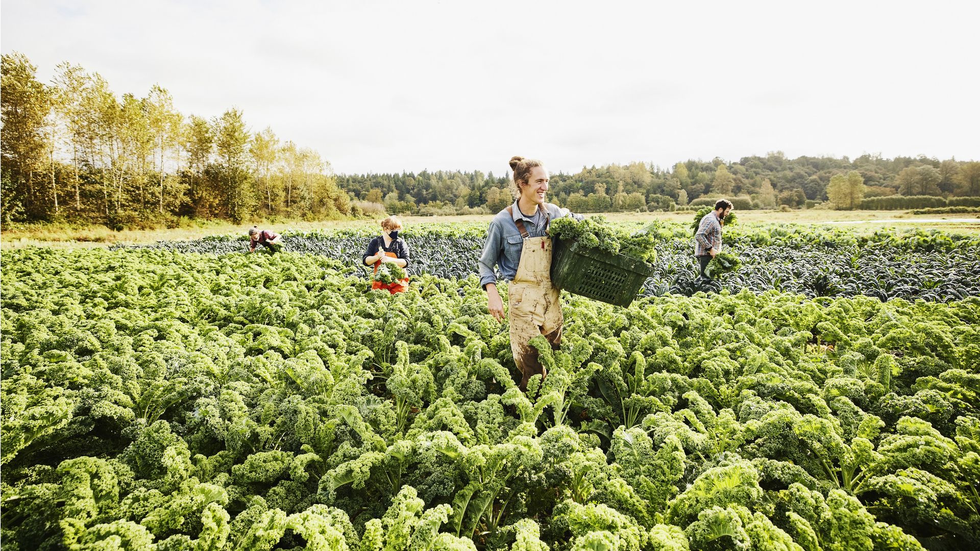 4. Tax-Loss Harvesting