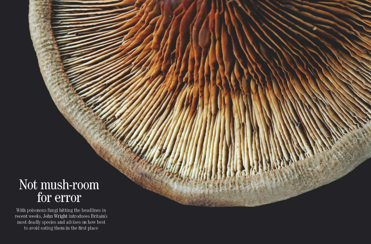Spreads of the Aug 6 issue of Country Life