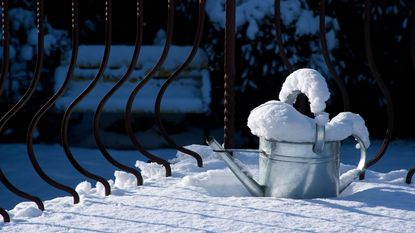 A silver watering can in the snow