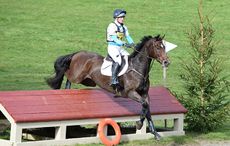Eventing-in-numbers.jpg