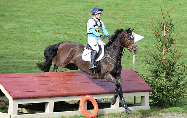 Eventing-in-numbers.jpg