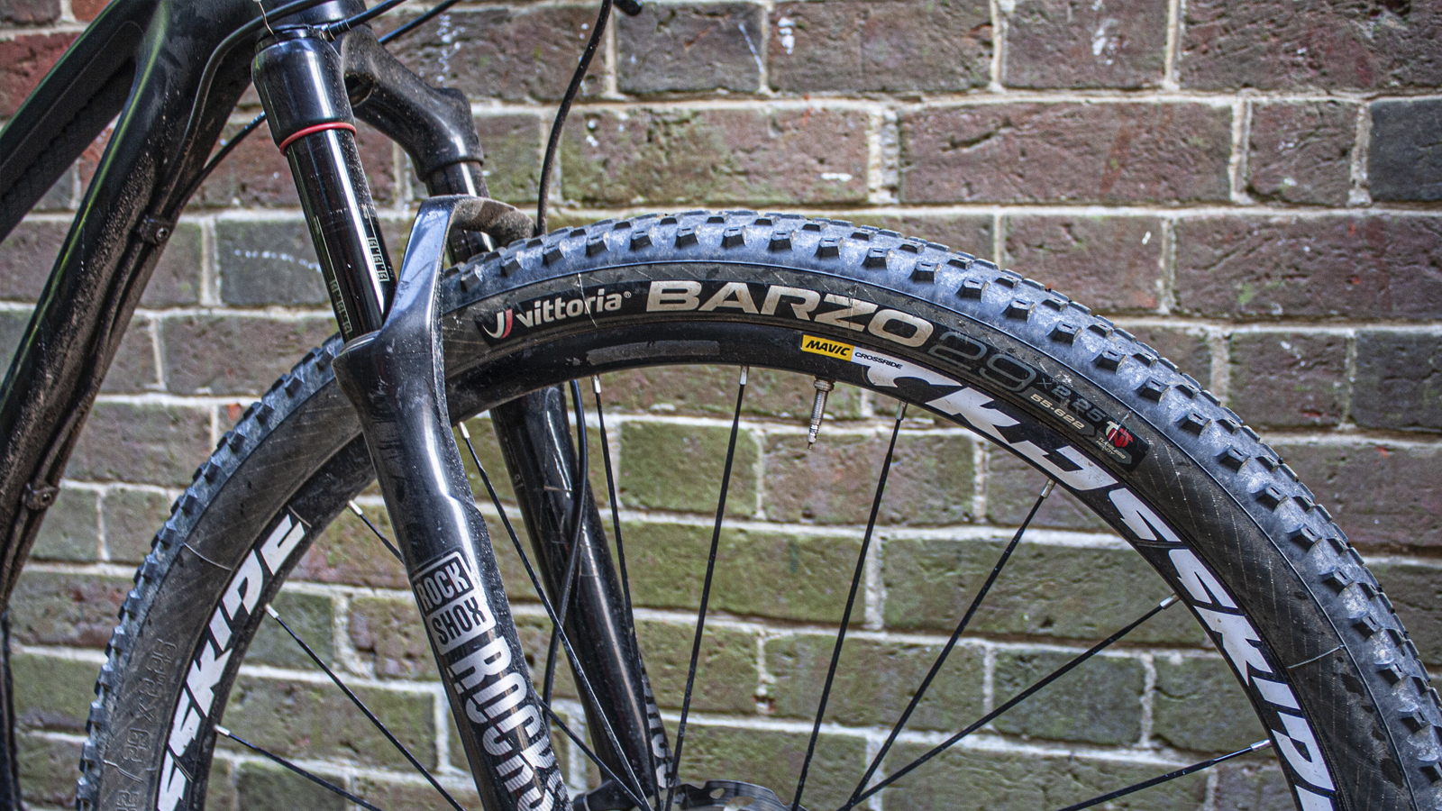 Vittoria Barzo tire review - the most complete XC tire available