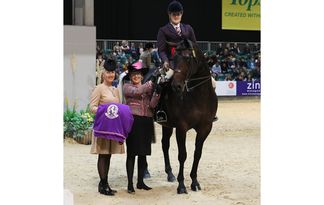 HOYS 2018 - free PR images reuse in HOYS context