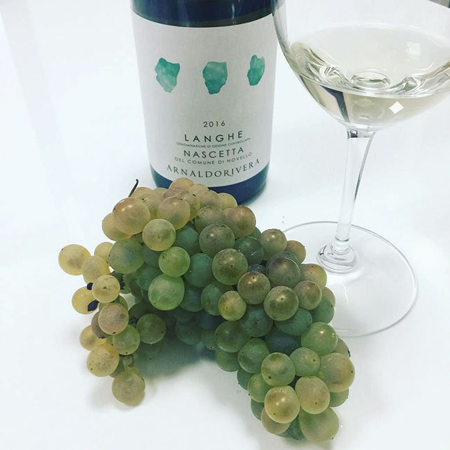 ArnaldoRivera premium range