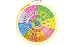 Taiwan-Green-tea-flavour-wheel.jpg