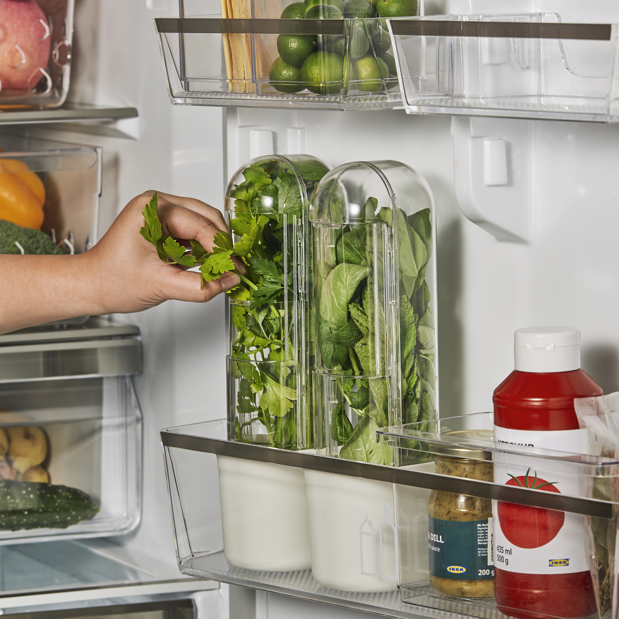 IKEA herb container in fridge