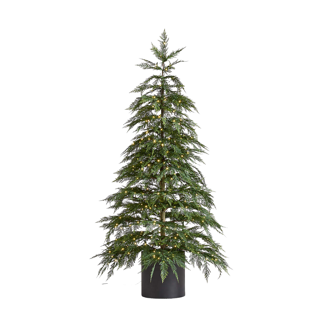 Crate &amp;amp; Barrel, 6&#039; Potted Faux Hemlock Large Pre-Lit LED Christmas Tree with White Lights