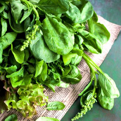salad leaves on paper on top of pale blue table