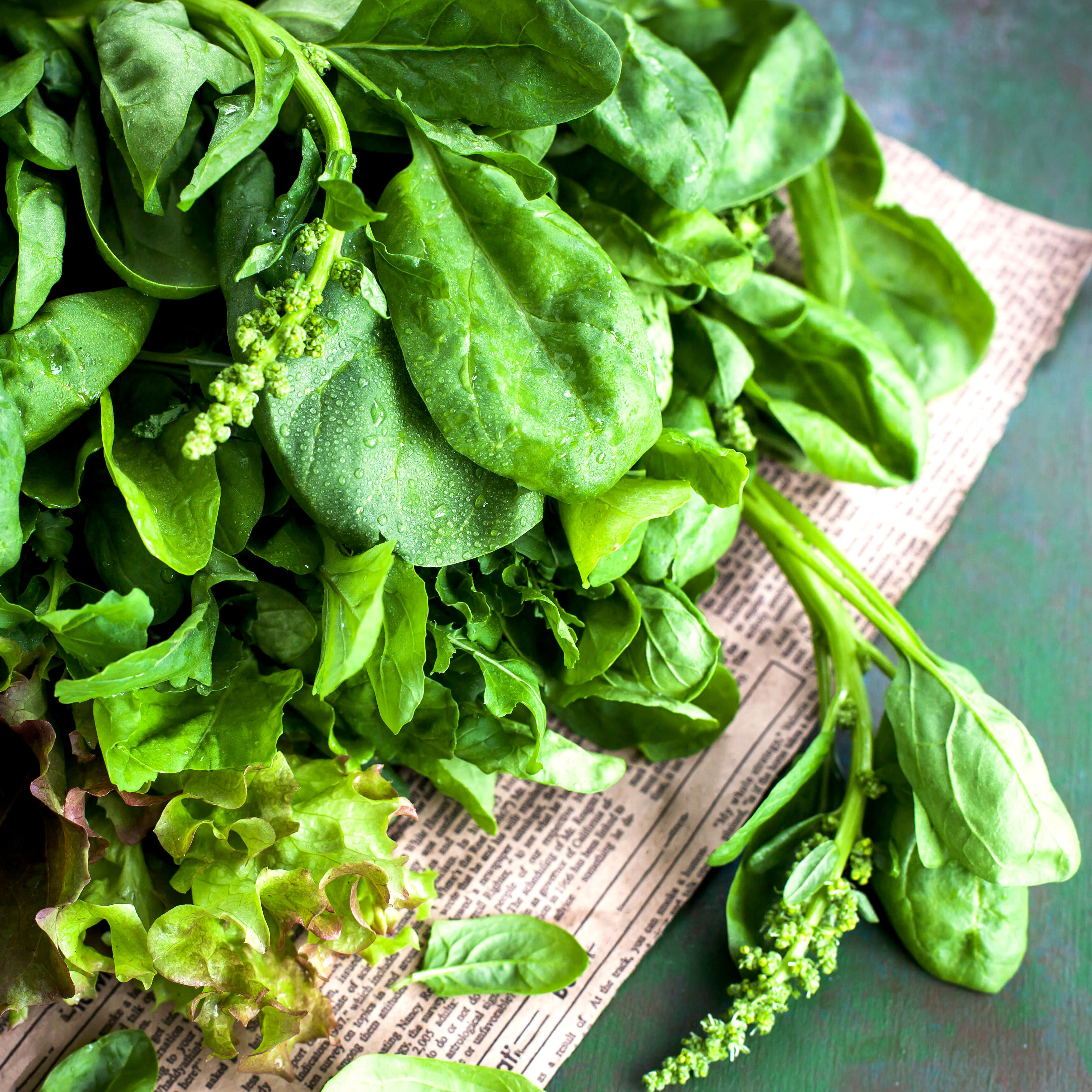 salad leaves on paper on top of pale blue table