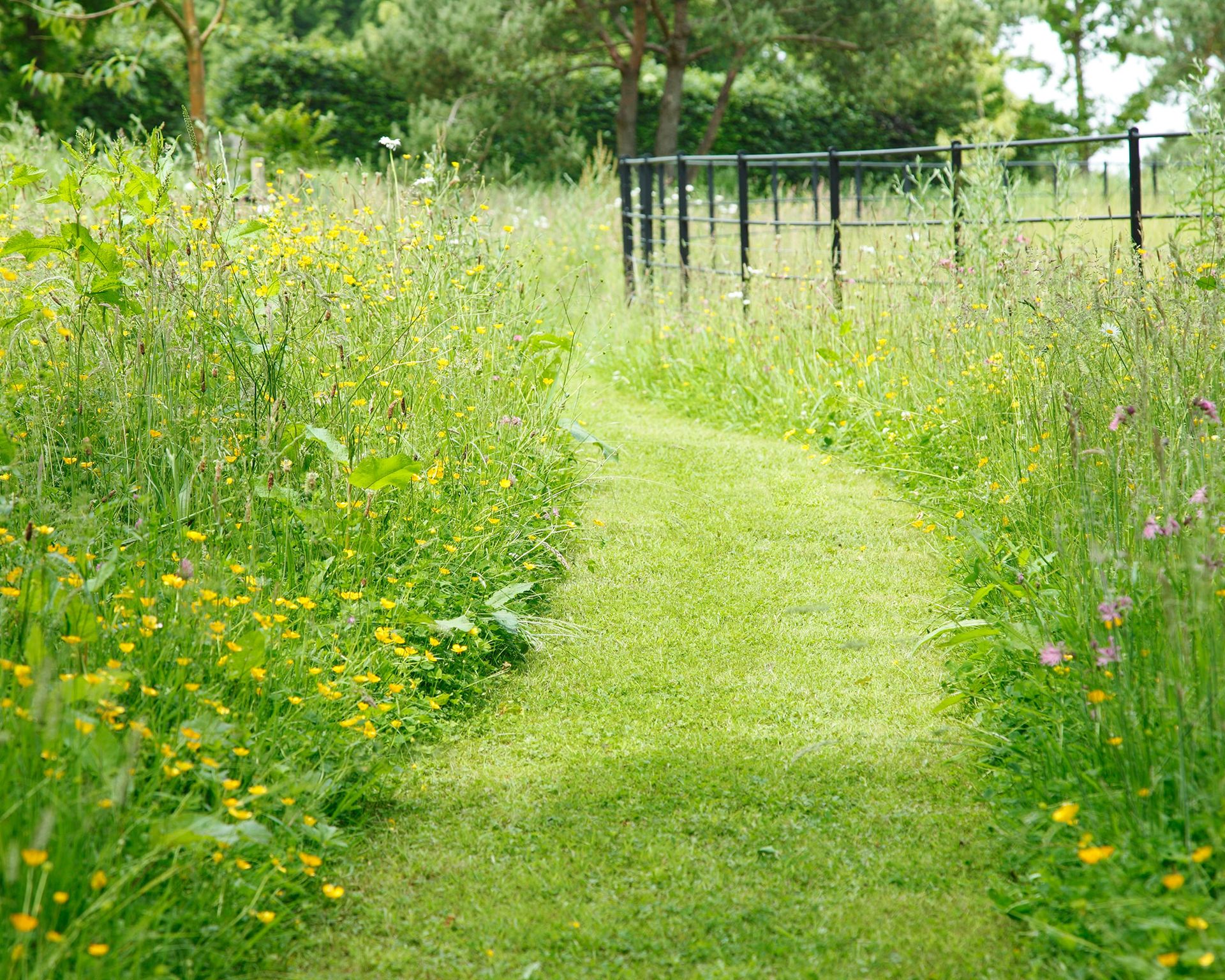 An example of sloping garden ideas showing a lawn with a grass pathway running through wild flowers
