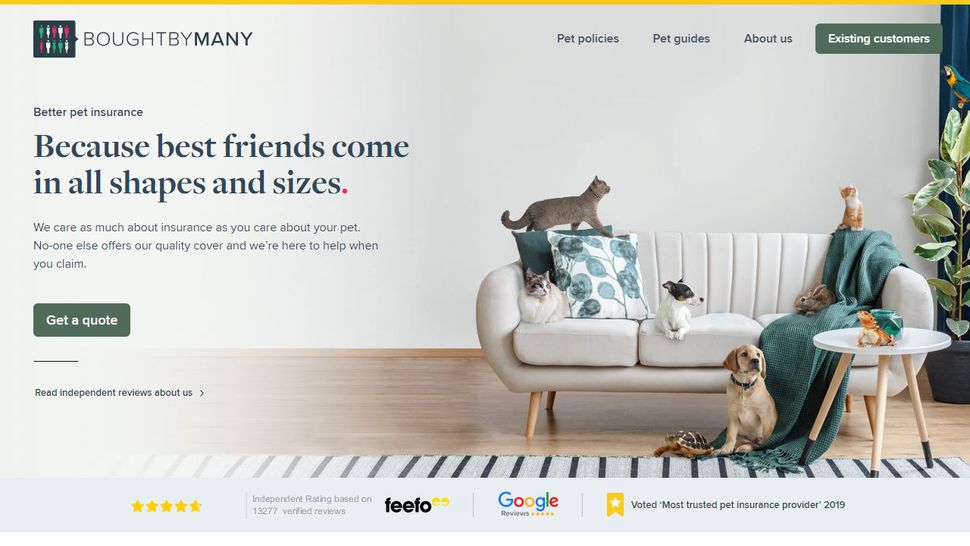 Best Pet Insurance For Pre existing Conditions Poorly Pet Policies best-pet-insurance-for-pre-existing-conditions-poorly-pet-policies