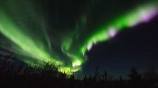 The northern lights are green and purple above Fairbanks, Alaska.