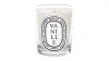 Diptyque Vanille Candle