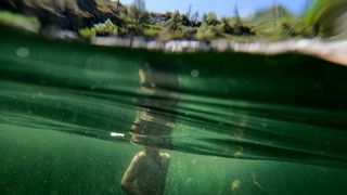 Underwater photo of a child swimming in a freshwater pond; only the child's body is visible, as his head is out of the water