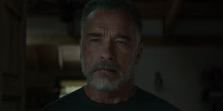 Arnold's Terminator in a cabin