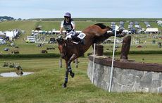 4-ESPECIALLY-DASSETT_Barbury-International_105579102_196420881.jpg